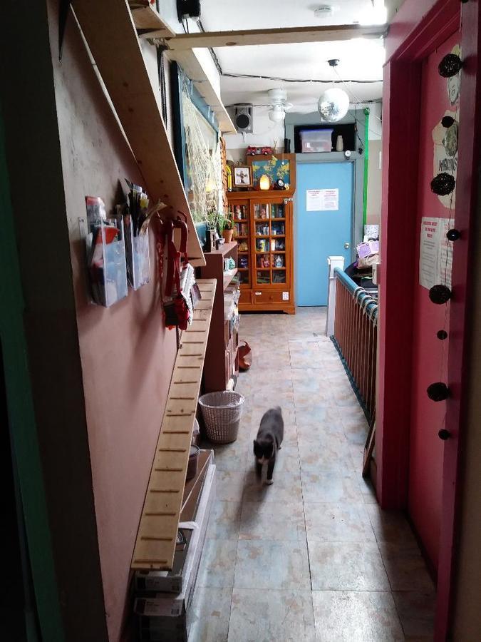 圣地亚哥 Niki'S International旅舍 外观 照片